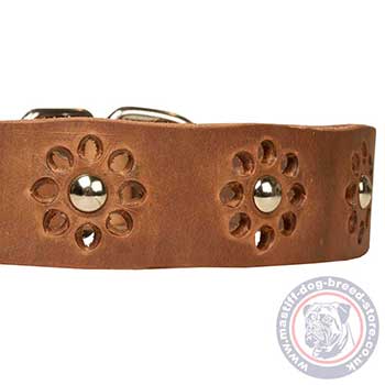 Pretty Dog Collars for Mastiff