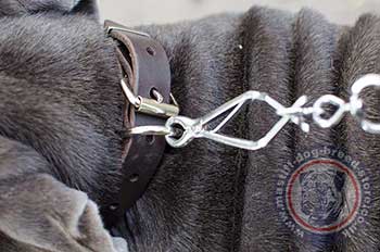 Leather Dog Collar for Mastiff Dogs