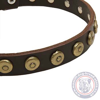 Designer Dog Collar for Neapolitan Mastiff