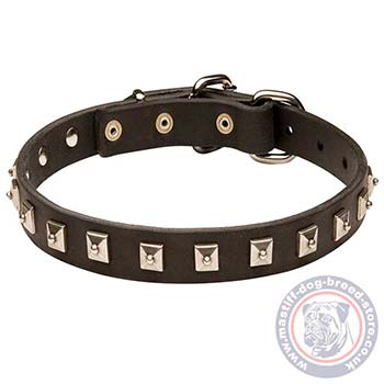 High Qulaity Leather Dog Collars UK