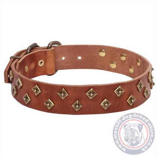 Natural Leather Mastiff Collars UK