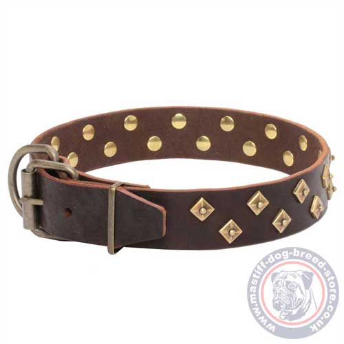 Mastiff Collars UK