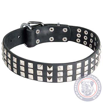 Cane Corso Masiff Wide Dog Collar