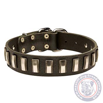 Neapolitan Mastiff Collars for Large Dogs