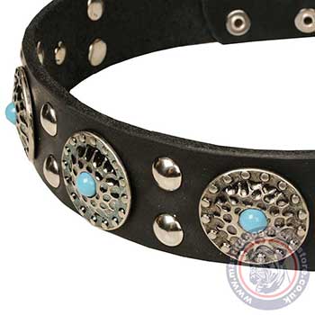 Luxury Dog Collar Designs for Mastiff