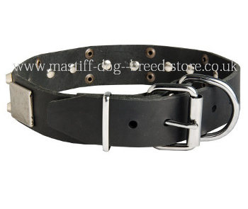 Buy Bull Mastiff Collar for Big Dogs