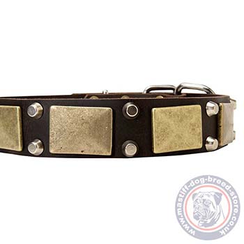 Dog Fashion Collar