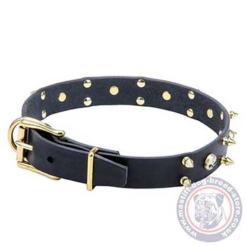 Mastiff Embellished Dog Collars UK