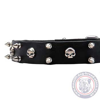 Spiked Dog Collar with Skulls