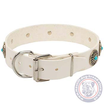 White Collar for Dogs with Buckle