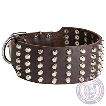 X Large Dog Collars