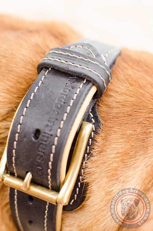 Thick Dog Collars with Buckle