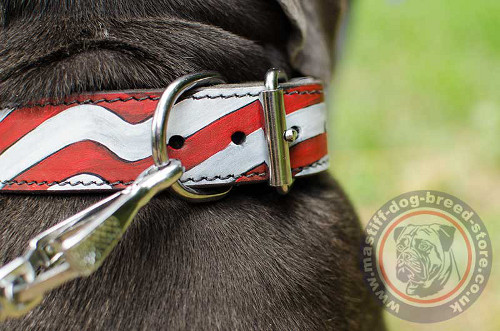 Luxury Leather Dog Collars