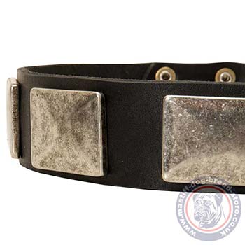 Large Breed Dog Collars