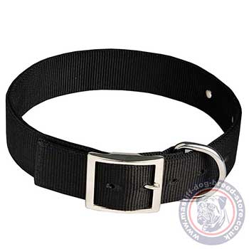 Nylon Dog Collar with Metal Buckle