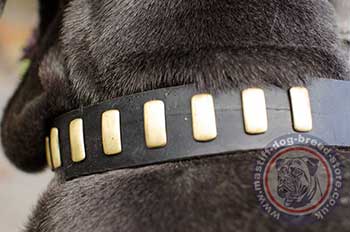 Handmade Dog Collar for Neapolitan Mastiff