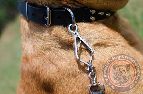 Fine Dog Collars for Dogue De Bordeaux