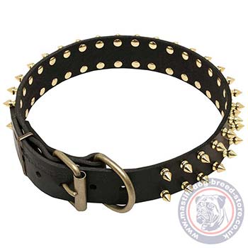 Spiked Dog Collar with Buckle