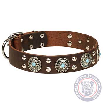 Luxury Dog Collar Designs for Big Mastiff Dogs