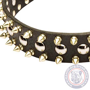 Fashion Dog Collar