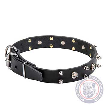 Mastiff Dog Collar with Skulls