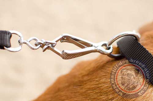 Strong Dog Collar with Quick Release