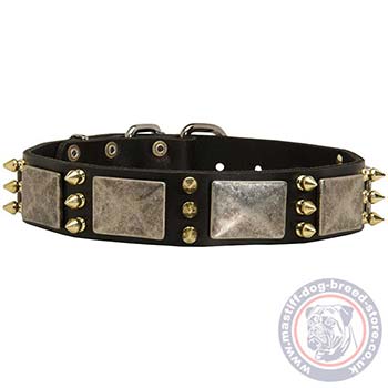 Strong Leather Dog Collar