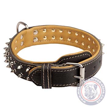 Large Dog Collar