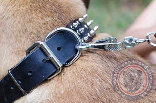 Spiked Leather Collar