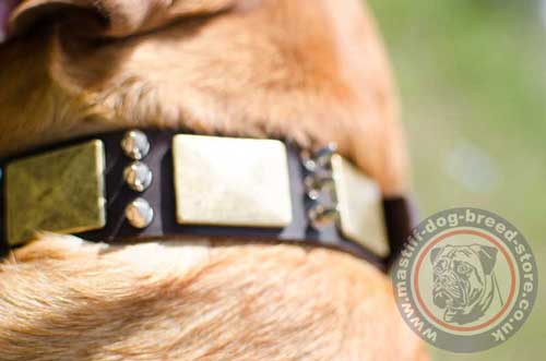 Luxury Leather Dog Collars DDB