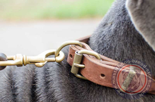 Natural Leather Dog Collar