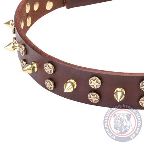 Designer Dog Collar for Big Mastiff Dog