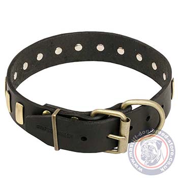 Strong Dog Collar of Leather