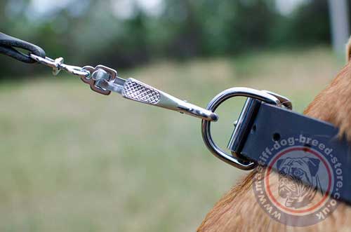 Designer Leather Dog Collar