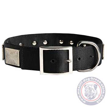Large Studded Dog Collar with Buckle