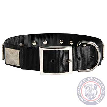 Mastiff Collars: Nylon Dog Collars