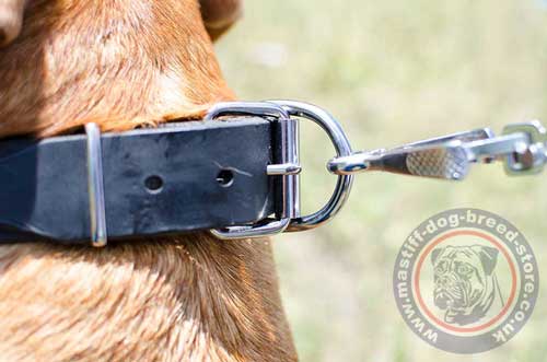 Strong Leather Dog Collar with Buckle