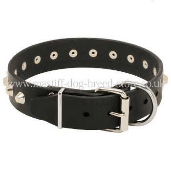 Strong Leather Dog Collar for Neapolitan Mastiff