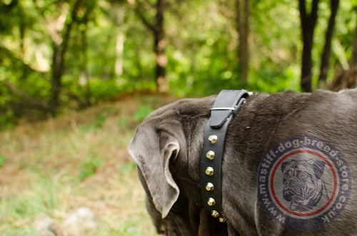 Strong Leather Dog Collar