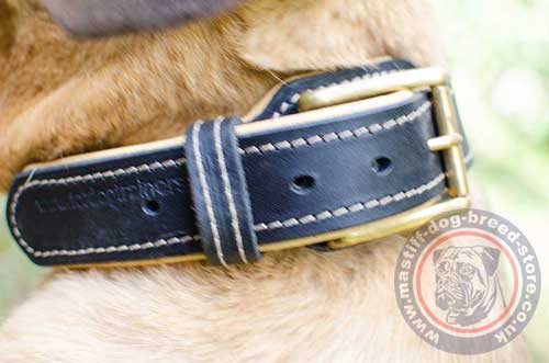 Strong Leather Dog Collar for Cane Corso Mastiff