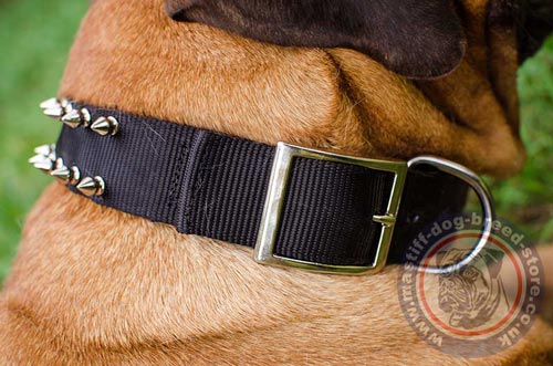 Nylon Dog Collar with Buckle for Bullmastiff