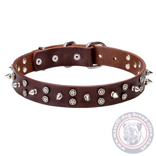 Brown Leather Dog Collar for Big Mastiff Dog