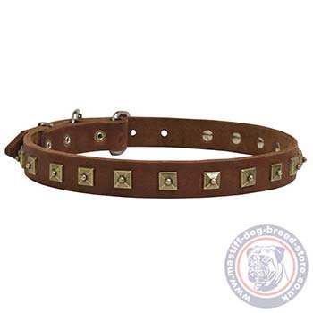 Natural Leather Dog Collar with Buckle