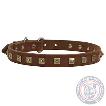 Leather Collar for Dog De Bordeaux