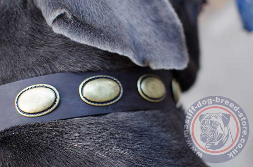 Dog Leather Collars UK