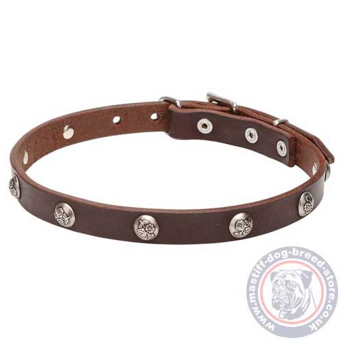Natural Leather Dog Collar for Mastiff Puppies