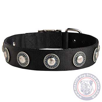 Studded Mastiff Collar for Dogs Strong Nylon