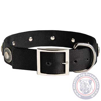 Studded Nylon Dog Collar with Buckle for Mastiff Walking