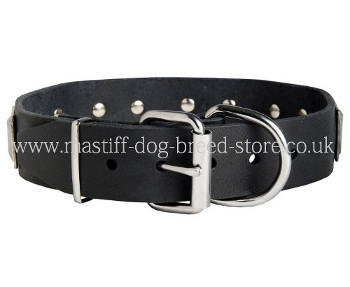 Sturdy Handmade Leather Dog Collars for Sale Online