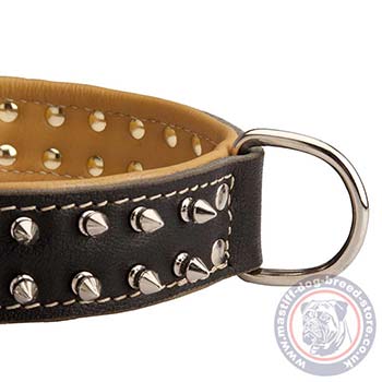 Soft Dog Collar